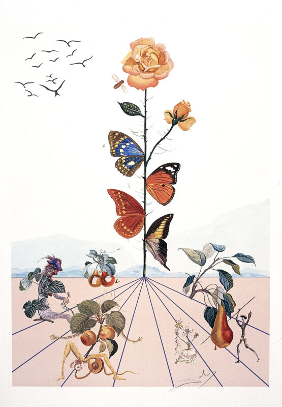 Dalí Universe